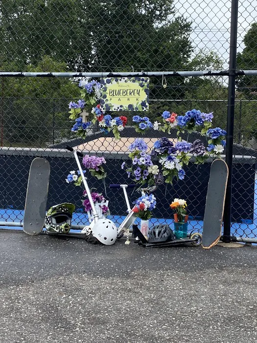 Blueberey Park (in memory of Nicholas Woodworth) Picture 3