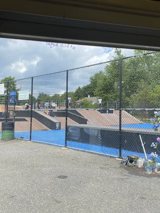 Blueberey Park (in memory of Nicholas Woodworth) Picture 2