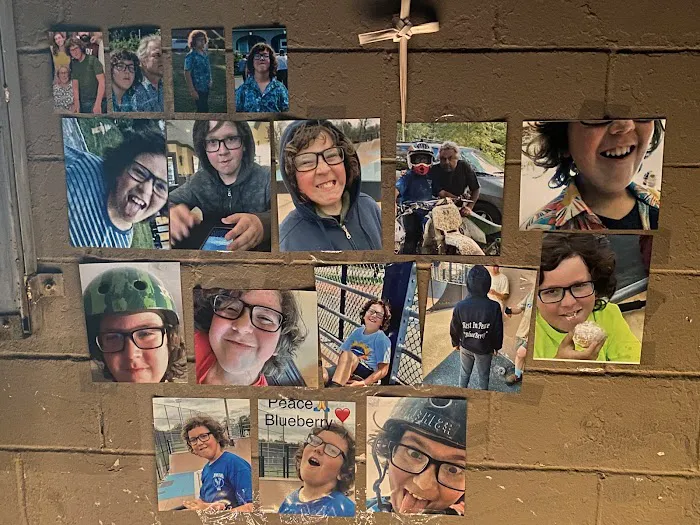 Blueberey Park (in memory of Nicholas Woodworth) Picture 4