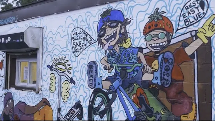 Blueberey Park (in memory of Nicholas Woodworth) Picture 6