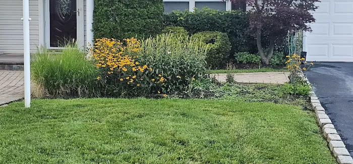 Robin Park Picture 1