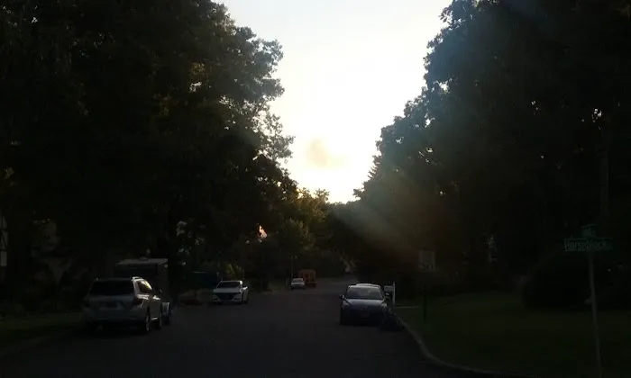 Suffolk CC Selden Picture 1