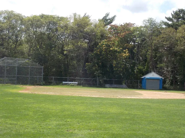Suffolk CC Selden Picture 2