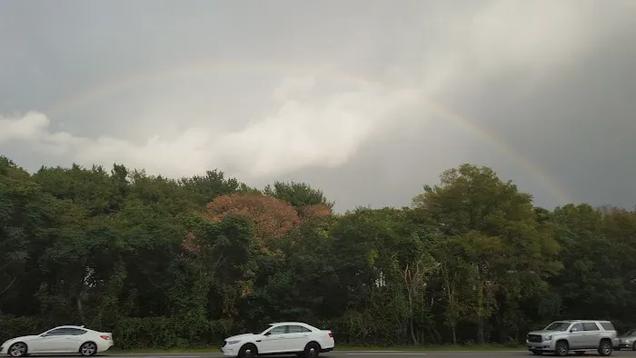 Suffolk CC Selden Picture 6