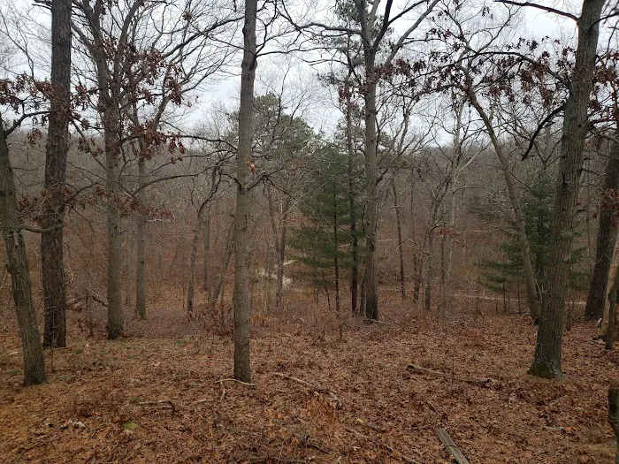 Thomas Muratore Park at Farmingville Hills 3
