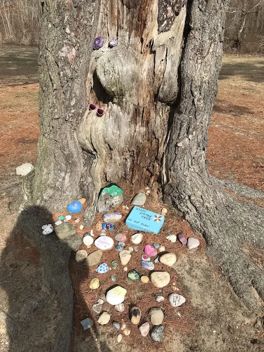 Thomas Muratore Park at Farmingville Hills 2