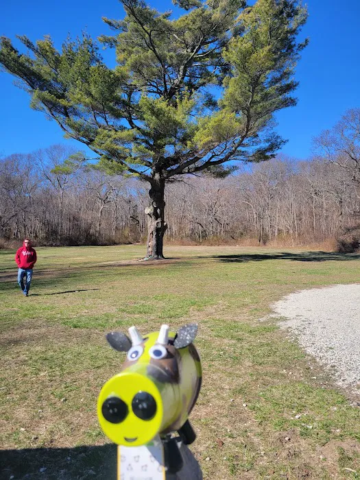 Thomas Muratore Park at Farmingville Hills 9