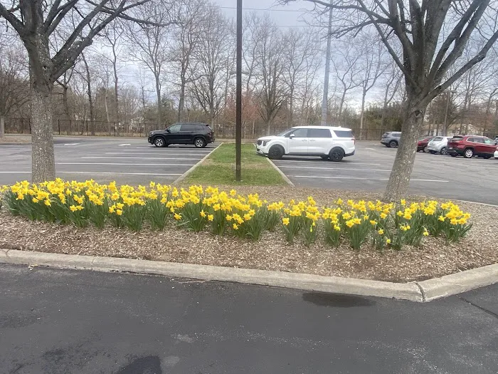 Old Town Blooms Picture 3