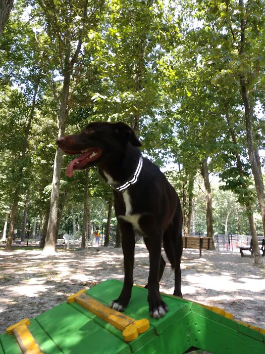 Selden Dog Park Picture 1