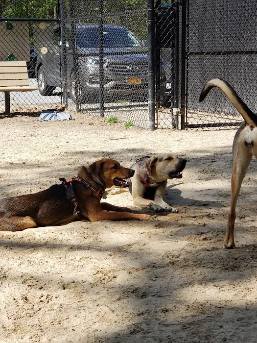 Selden Dog Park Picture 5