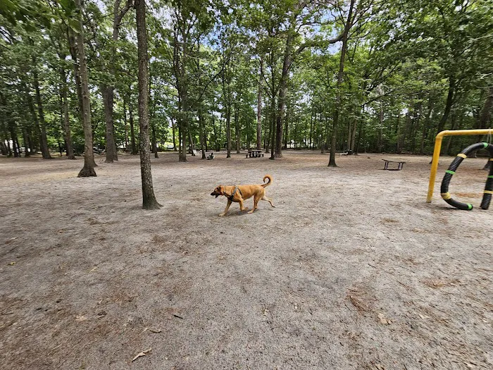 Selden Dog Park Picture 3
