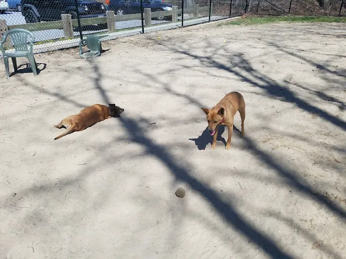 Selden Dog Park Picture 8