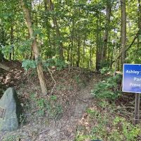 Ashley Schiff Preserve ico