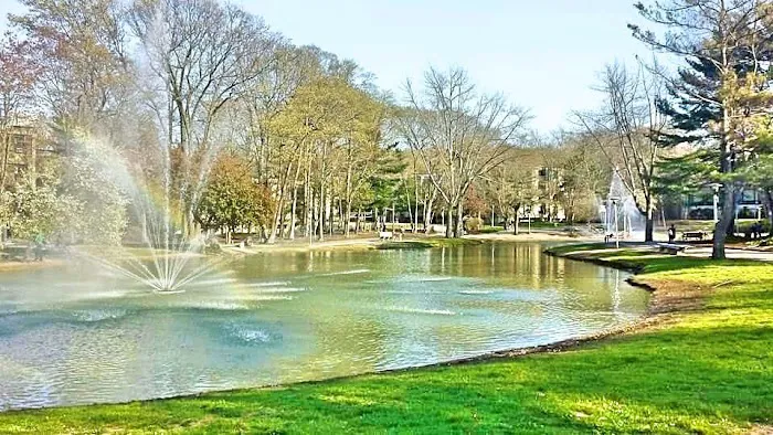 Roth Pond Picture 1