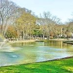 Roth Pond