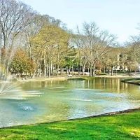 Roth Pond ico