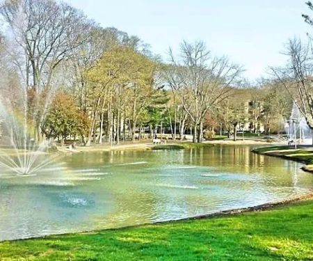 Roth Pond