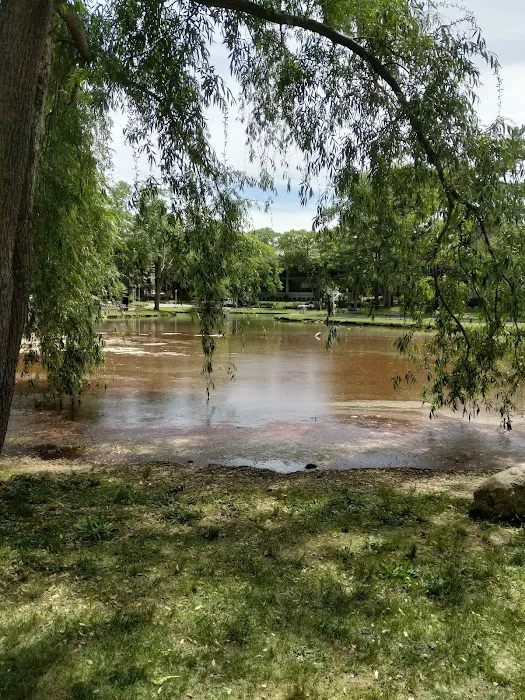 Roth Pond Picture 6