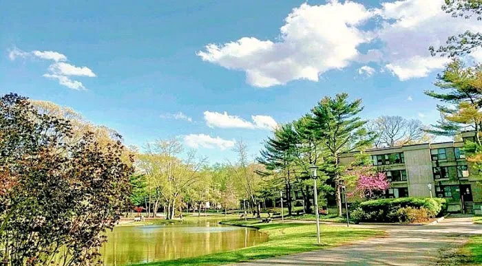 Roth Pond Picture 10