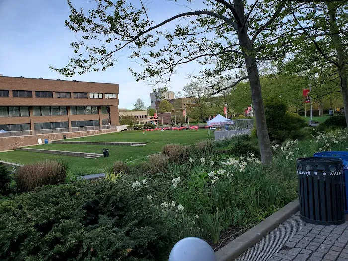 Staller Steps Picture 3