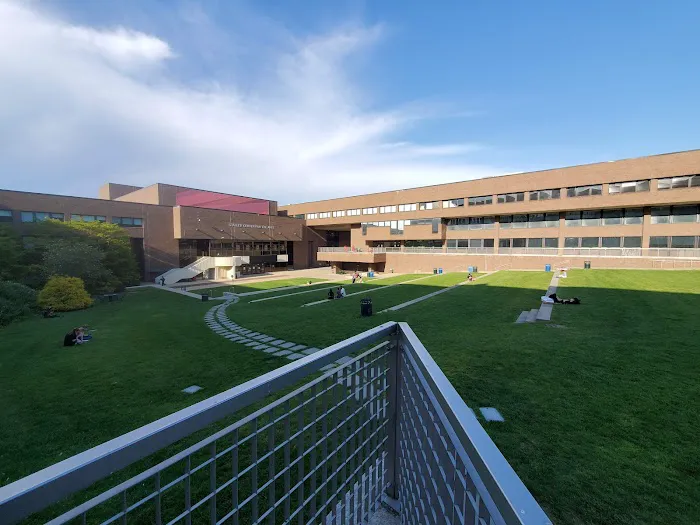 Staller Steps Picture 1