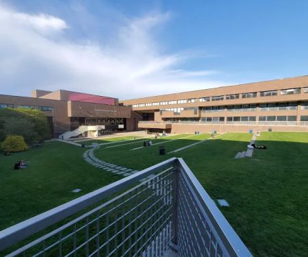 Staller Steps