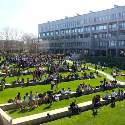 Staller Steps Picture 2