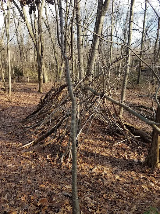 Forsythe Meadow County Park Picture 3