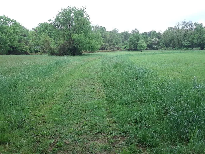 Forsythe Meadow County Park Picture 1