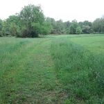 Forsythe Meadow County Park
