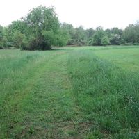 Forsythe Meadow County Park ico