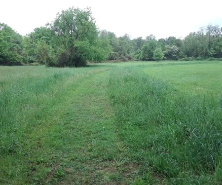 Forsythe Meadow County Park