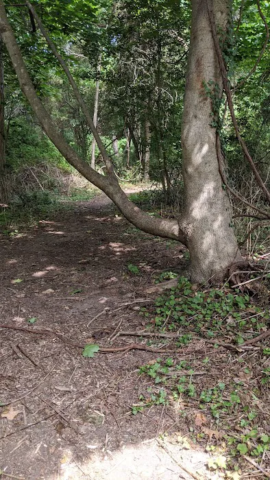 Forsythe Meadow County Park Picture 10