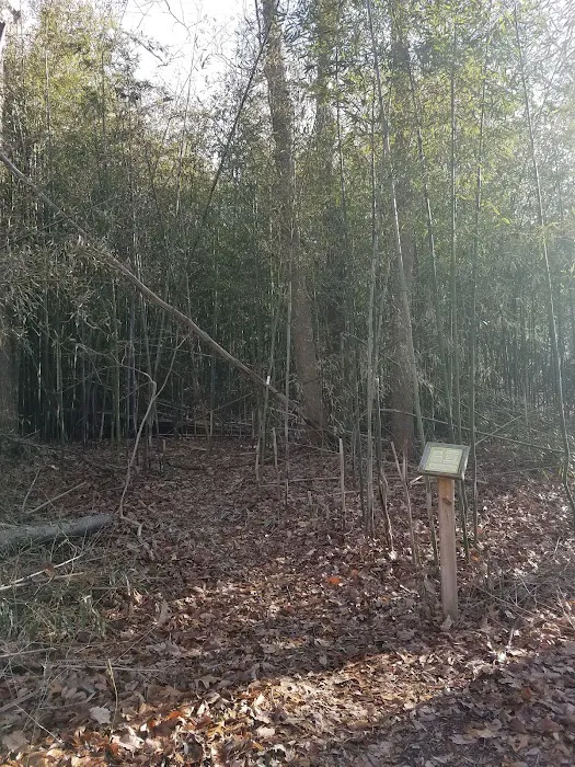 Forsythe Meadow County Park Picture 7