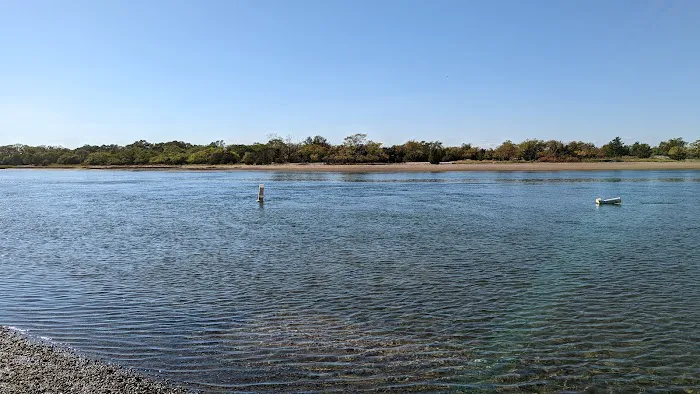 Youngs Island Wildlife Management Area Picture 1