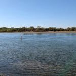 Youngs Island Wildlife Management Area