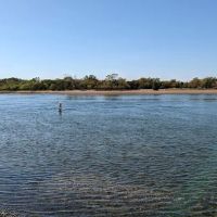 Youngs Island Wildlife Management Area ico