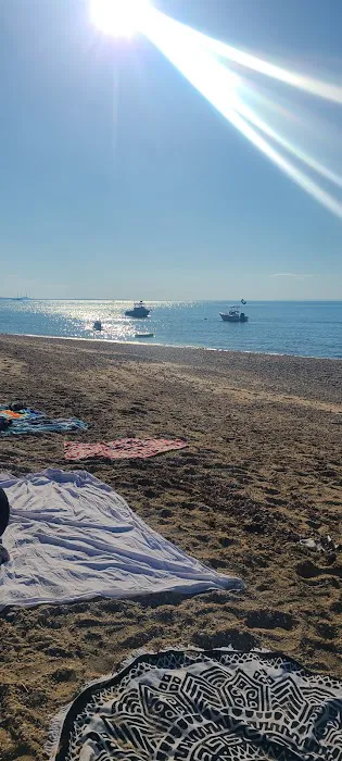 Otto Schubert Beach Picture 3