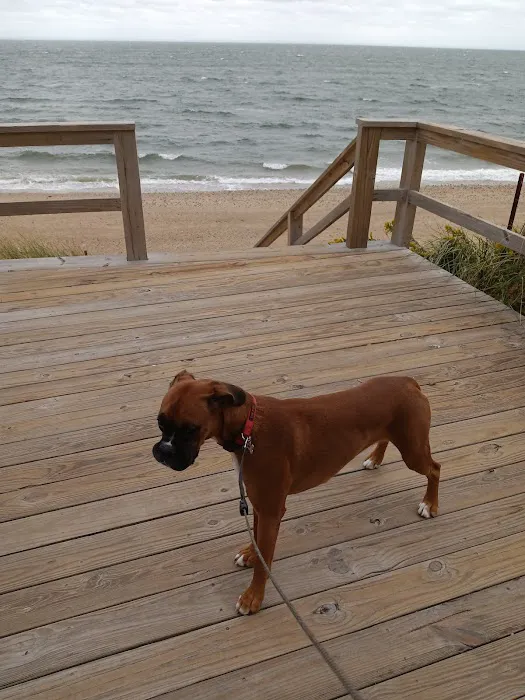 Otto Schubert Beach Picture 6