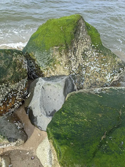 Otto Schubert Beach Picture 9