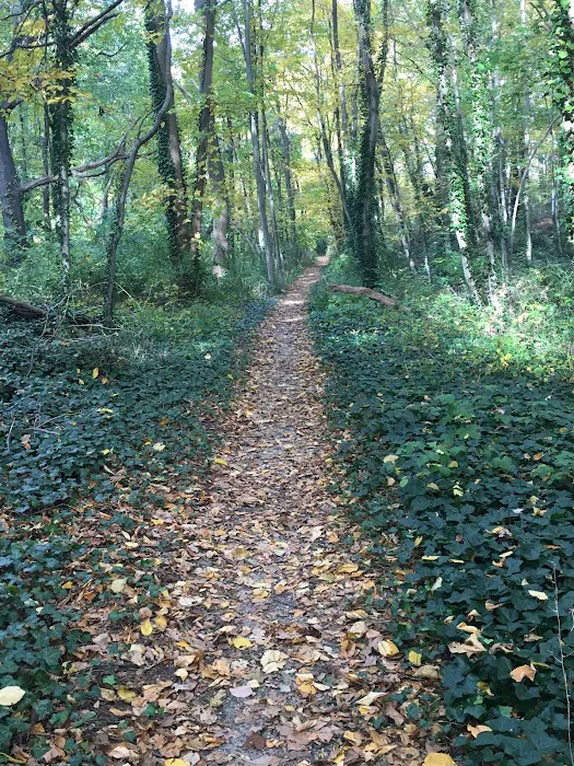 Northport Rail Trail Entrance Picture 2