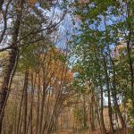 Northport Rail Trail Entrance