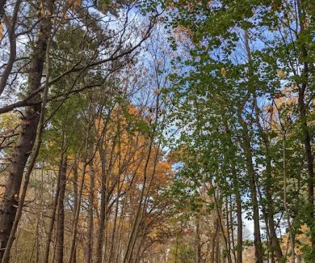 Northport Rail Trail Entrance