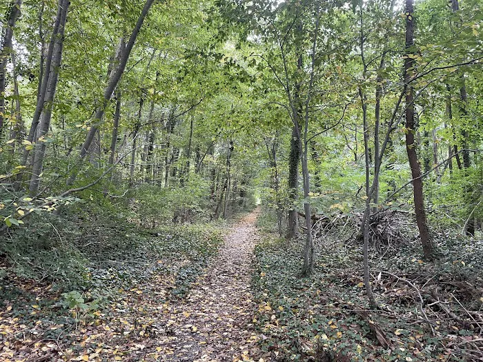 Northport Rail Trail Entrance Picture 3