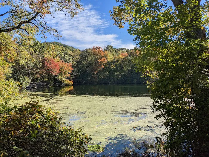 Betty Allen Twin Ponds Nature Park Picture 3