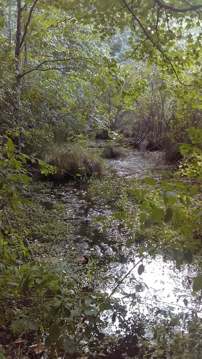 Betty Allen Twin Ponds Nature Park Picture 4