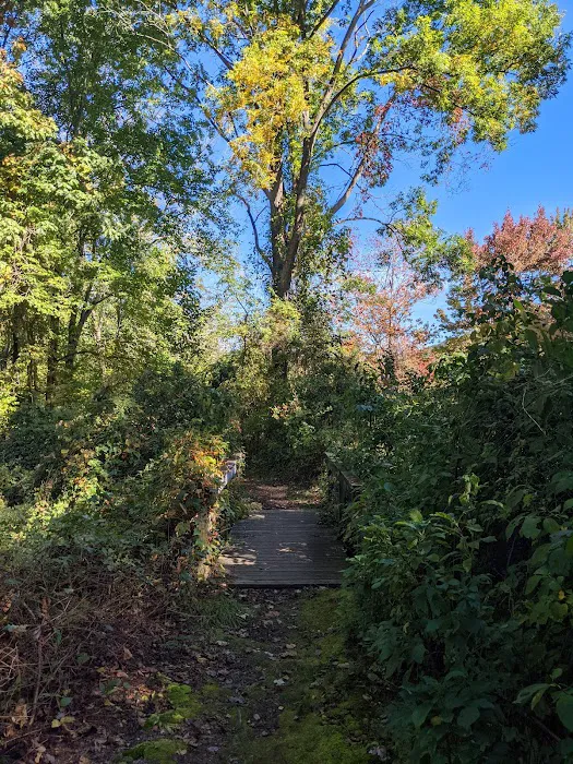 Betty Allen Twin Ponds Nature Park Picture 7