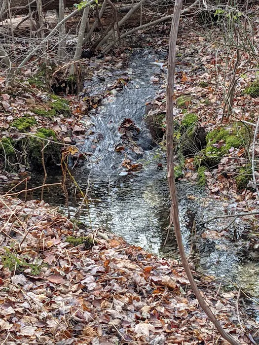 Betty Allen Twin Ponds Nature Park Picture 8