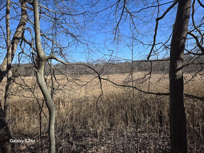 Makamah Nature Preserve Picture 4