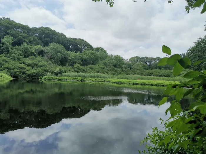 Makamah Nature Preserve Picture 3